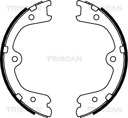 Triscan 8100 14009 - Komplet kočionih obloga, rucna kočnica www.molydon.hr