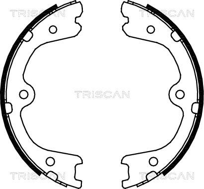 Triscan 8100 14008 - Komplet kočionih obloga, rucna kočnica www.molydon.hr