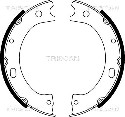 Triscan 8100 14011 - Komplet kočnica, bubanj kočnice www.molydon.hr