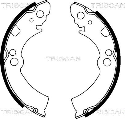 Triscan 8100 14396 - Komplet kočnica, bubanj kočnice www.molydon.hr