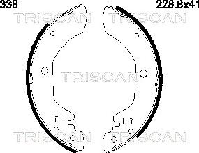 Triscan 8100 14338 - Komplet kočnica, bubanj kočnice www.molydon.hr