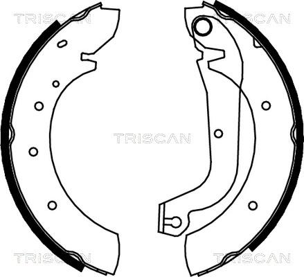 Triscan 8100 15480 - Komplet kočnica, bubanj kočnice www.molydon.hr