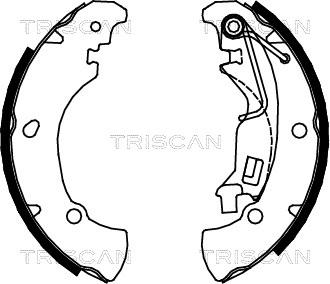 Triscan 8100 15017 - Komplet kočnica, bubanj kočnice www.molydon.hr