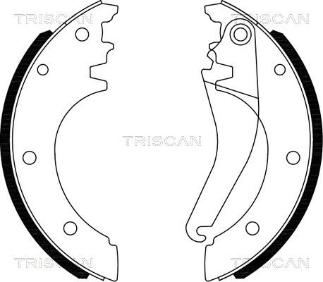 Triscan 8100 15027 - Komplet kočnica, bubanj kočnice www.molydon.hr