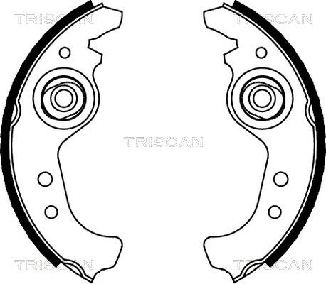 Triscan 8100 15383 - Komplet kočnica, bubanj kočnice www.molydon.hr