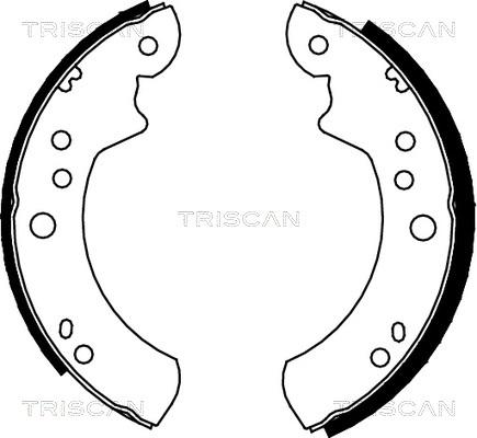 Triscan 8100 16446 - Komplet kočnica, bubanj kočnice www.molydon.hr