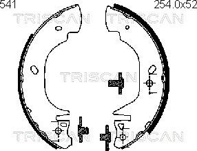 Triscan 8100 16541 - Komplet kočnica, bubanj kočnice www.molydon.hr