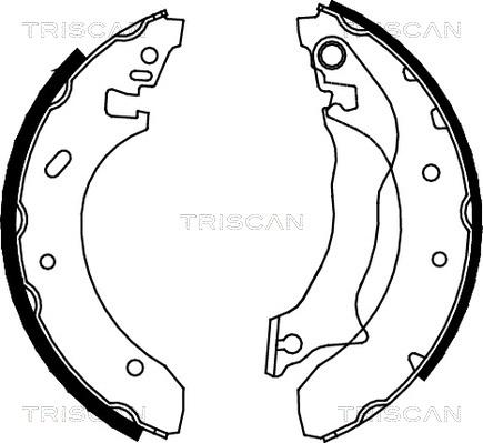 Triscan 8100 16559 - Komplet kočnica, bubanj kočnice www.molydon.hr