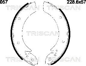 Triscan 8100 16057 - Komplet kočnica, bubanj kočnice www.molydon.hr