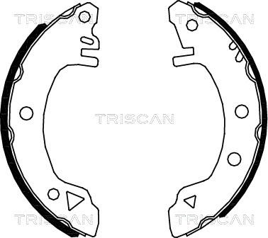 Triscan 8100 16375 - Komplet kočnica, bubanj kočnice www.molydon.hr