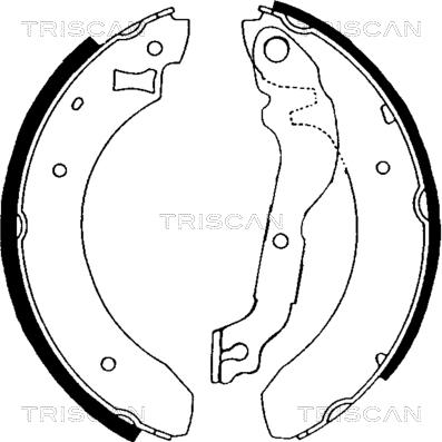 Triscan 8100 16376 - Komplet kočnica, bubanj kočnice www.molydon.hr