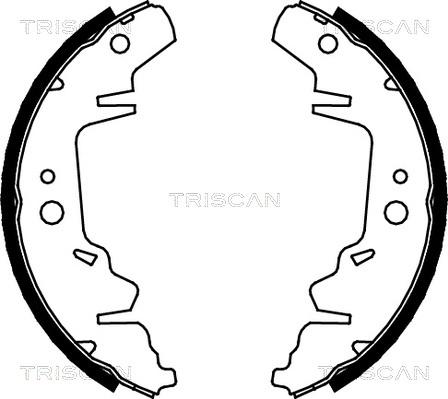 Triscan 8100 10593 - Komplet kočnica, bubanj kočnice www.molydon.hr