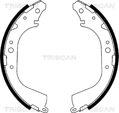 Triscan 8100 10519 - Komplet kočnica, bubanj kočnice www.molydon.hr