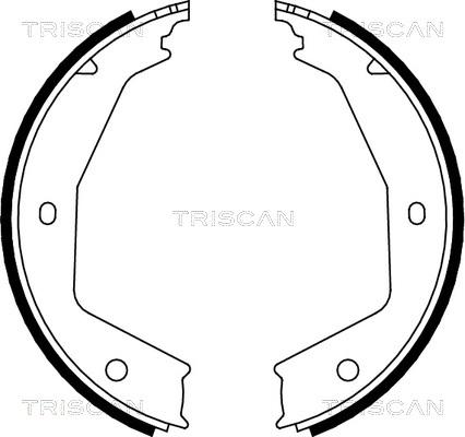 Triscan 8100 10629 - Komplet kočionih obloga, rucna kočnica www.molydon.hr