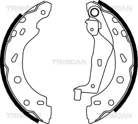 Triscan 8100 10005 - Komplet kočnica, bubanj kočnice www.molydon.hr