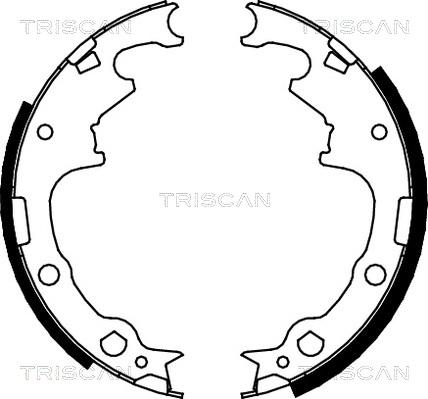 Triscan 8100 10001 - Komplet kočnica, bubanj kočnice www.molydon.hr