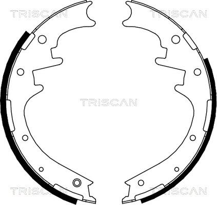 Triscan 8100 10016 - Komplet kočnica, bubanj kočnice www.molydon.hr