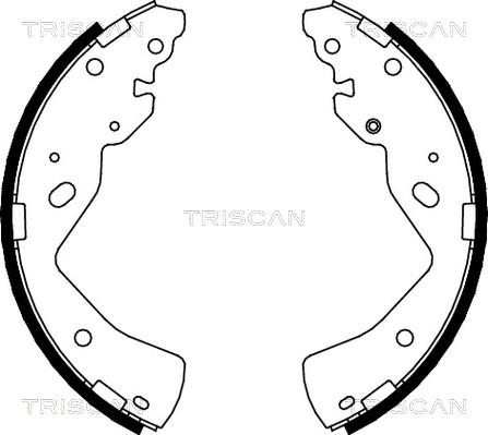 Triscan 8100 10018 - Komplet kočnica, bubanj kočnice www.molydon.hr