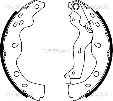 Triscan 8100 10013 - Komplet kočnica, bubanj kočnice www.molydon.hr