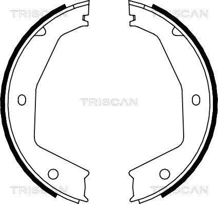 Triscan 8100 10034 - Komplet kočionih obloga, rucna kočnica www.molydon.hr