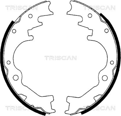 Triscan 8100 10035 - Komplet kočnica, bubanj kočnice www.molydon.hr