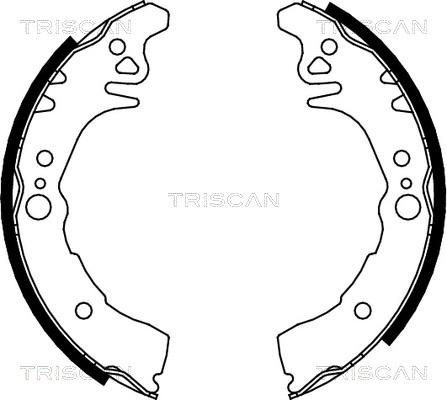 Triscan 8100 10026 - Komplet kočnica, bubanj kočnice www.molydon.hr