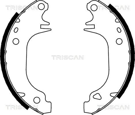 Triscan 8100 10372 - Komplet kočnica, bubanj kočnice www.molydon.hr