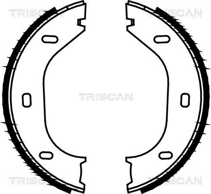 Triscan 8100 10290 - Komplet kočionih obloga, rucna kočnica www.molydon.hr