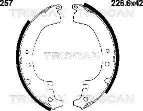 Triscan 8100 10257 - Komplet kočnica, bubanj kočnice www.molydon.hr