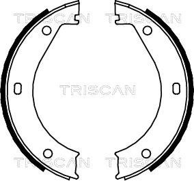 Triscan 8100 11415 - Komplet kočionih obloga, rucna kočnica www.molydon.hr