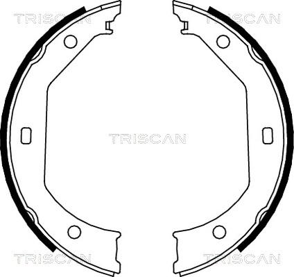 Triscan 8100 11638 - Komplet kočnica, bubanj kočnice www.molydon.hr