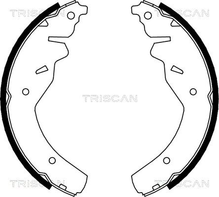 Triscan 8100 18595 - Komplet kočnica, bubanj kočnice www.molydon.hr