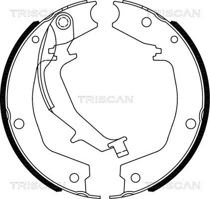 Triscan 8100 18011 - Komplet kočionih obloga, rucna kočnica www.molydon.hr