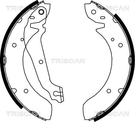 Triscan 8100 18013 - Komplet kočnica, bubanj kočnice www.molydon.hr
