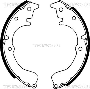 Triscan 8100 13502 - Komplet kočnica, bubanj kočnice www.molydon.hr