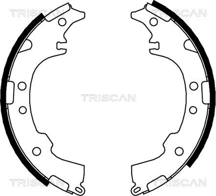 Triscan 8100 13601 - Komplet kočnica, bubanj kočnice www.molydon.hr