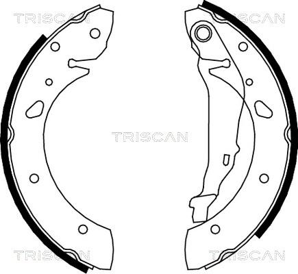 Triscan 8100 13624 - Komplet kočnica, bubanj kočnice www.molydon.hr