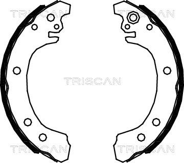 Triscan 8100 13049 - Komplet kočnica, bubanj kočnice www.molydon.hr