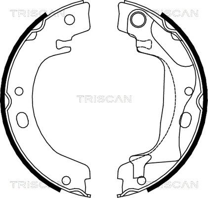 Triscan 8100 13041 - Komplet kočionih obloga, rucna kočnica www.molydon.hr