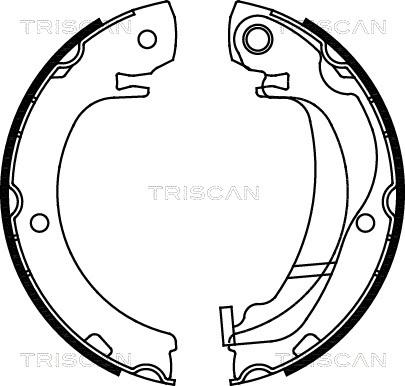 Triscan 8100 13047 - Komplet kočionih obloga, rucna kočnica www.molydon.hr