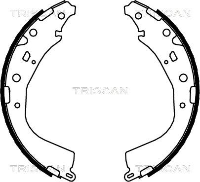 Triscan 8100 13053 - Komplet kočnica, bubanj kočnice www.molydon.hr