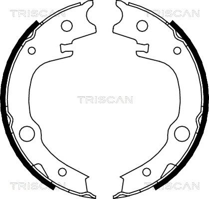 Triscan 8100 13039 - Komplet kočionih obloga, rucna kočnica www.molydon.hr