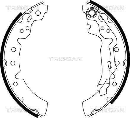 Triscan 8100 13031 - Komplet kočnica, bubanj kočnice www.molydon.hr