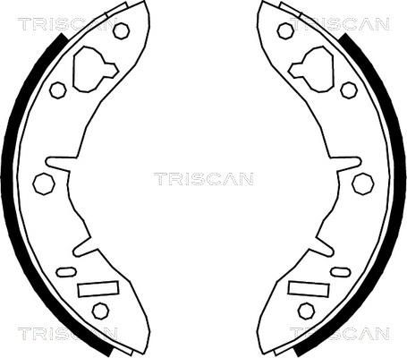 Triscan 8100 17003 - Komplet kočnica, bubanj kočnice www.molydon.hr