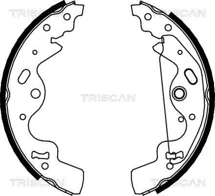 Triscan 8100 17010 - Komplet kočnica, bubanj kočnice www.molydon.hr