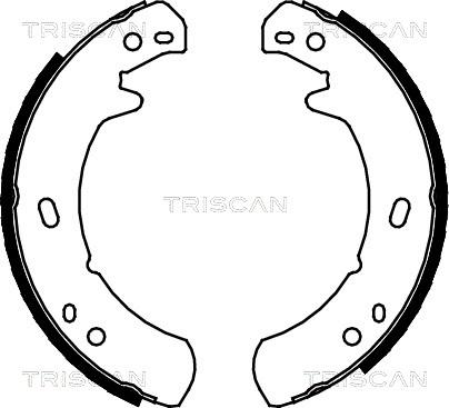 Triscan 8100 17012 - Komplet kočionih obloga, rucna kočnica www.molydon.hr