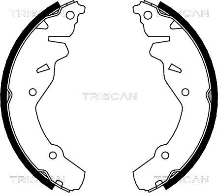 Triscan 8100 80002 - Komplet kočnica, bubanj kočnice www.molydon.hr