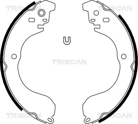 Triscan 8100 80017 - Komplet kočnica, bubanj kočnice www.molydon.hr