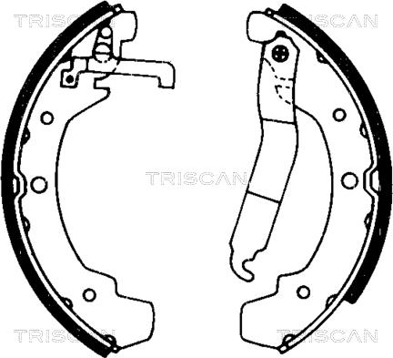 Triscan 8100 29437 - Komplet kočnica, bubanj kočnice www.molydon.hr