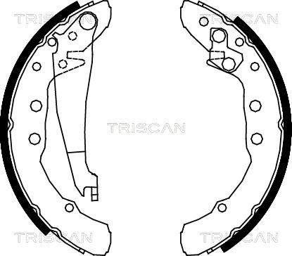 Triscan 8100 29530 - Komplet kočnica, bubanj kočnice www.molydon.hr